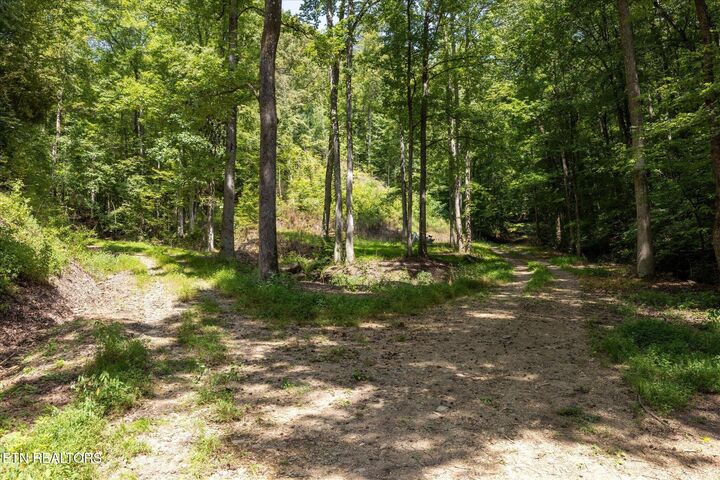 Property Photo:  1080 Hembree Hollow Rd  TN 37882 
