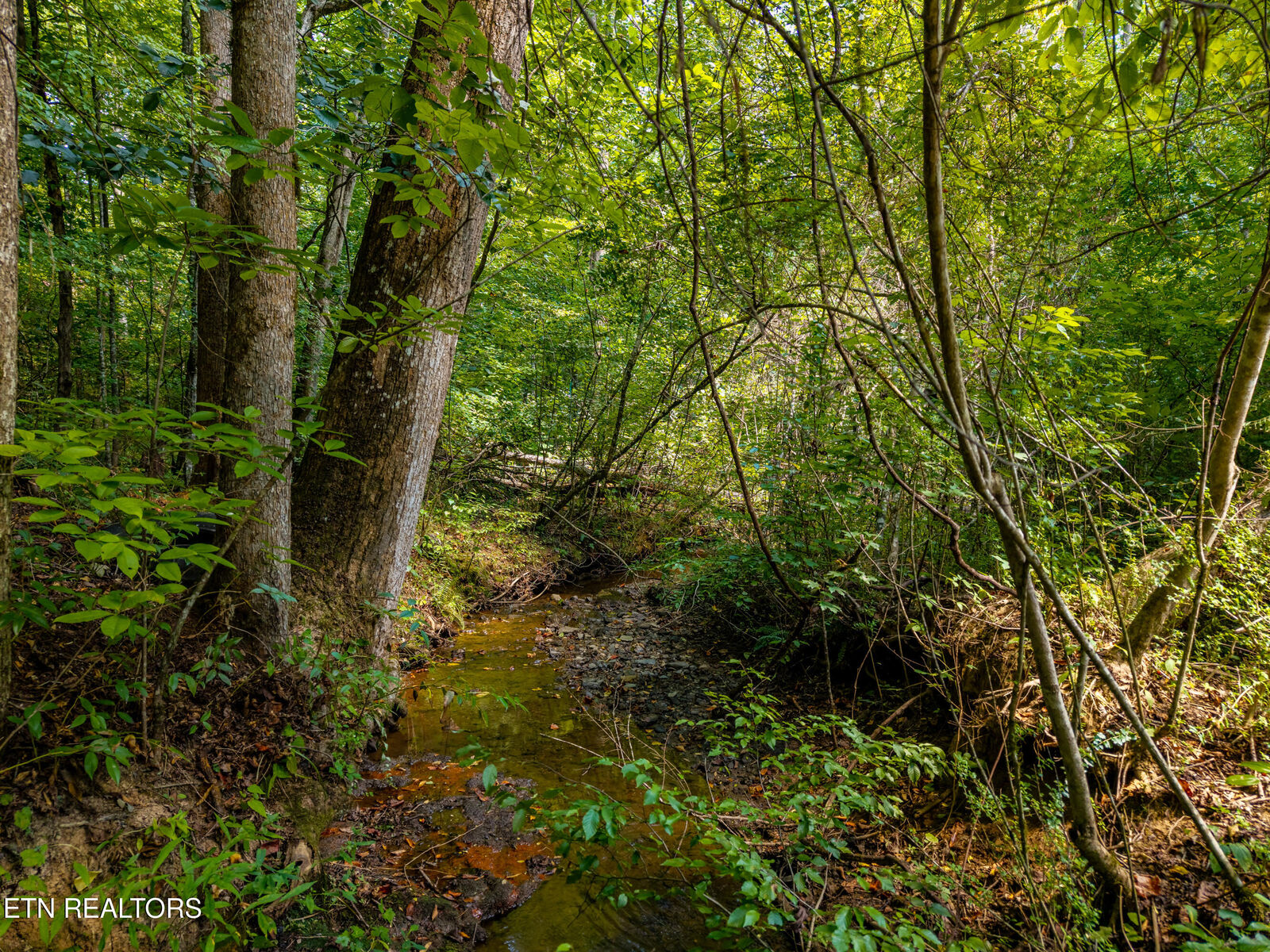Property Photo:  407 Chetola Tr  TN 37882 