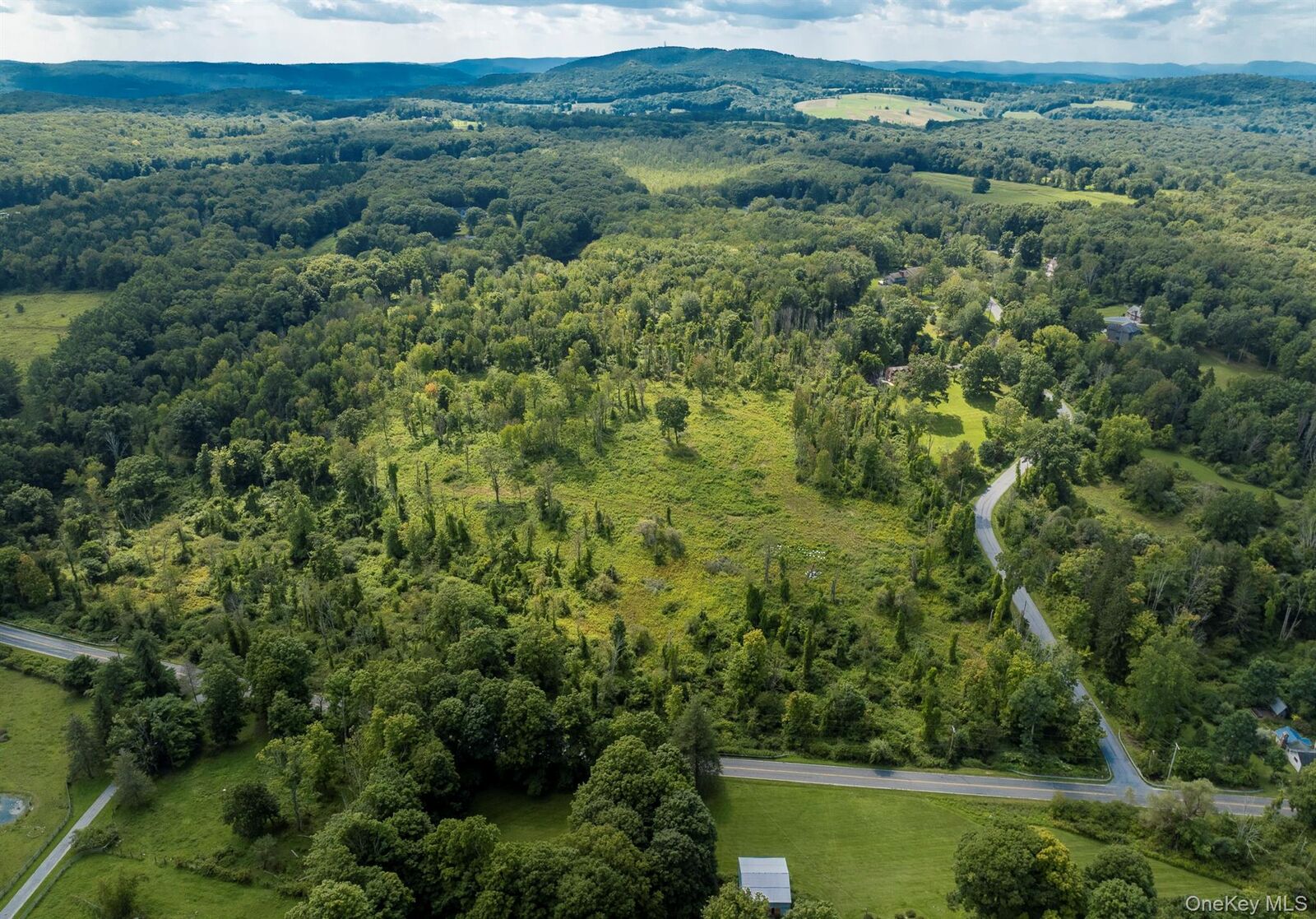 Property Photo:  Camby Road  NY 12545 