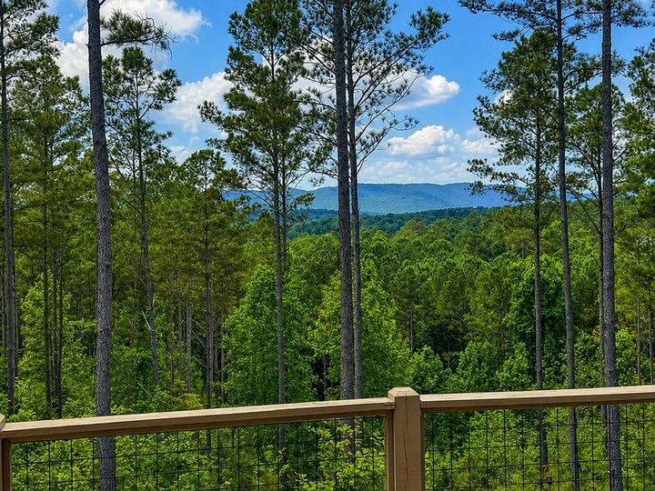 Property Photo:  230 High River Landing  GA 30540 