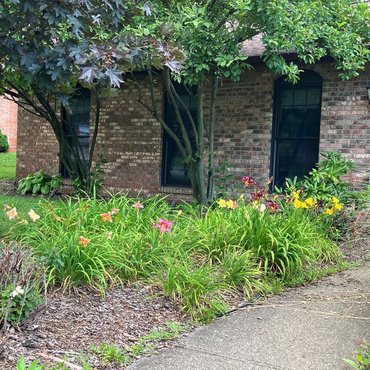 Property Photo:  8822 Valley Circle Drive  KY 41042 