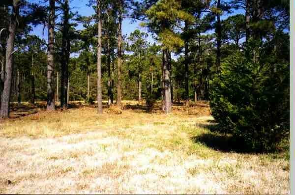 Property Photo:  Cynthia Court  NC 27941 