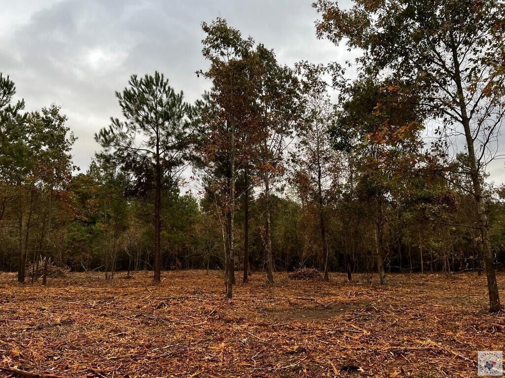Property Photo: 7710 Dooley Ferry AR 71854