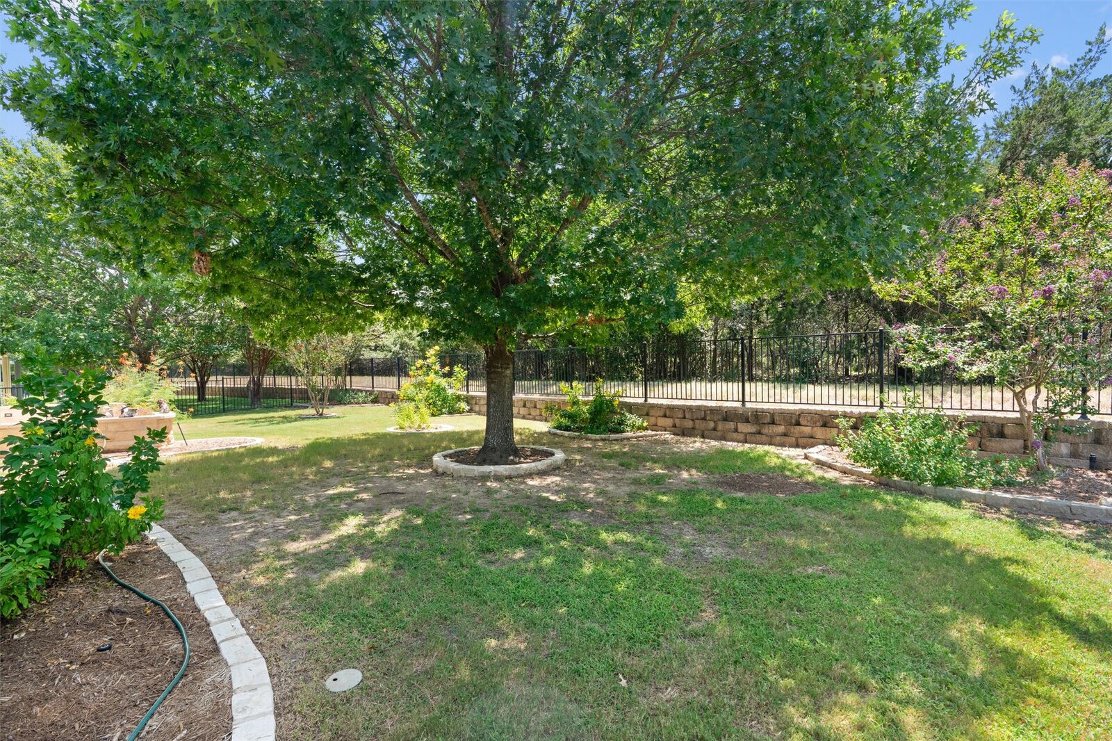 Property Photo:  113 Independence Creek Lane  TX 78633 