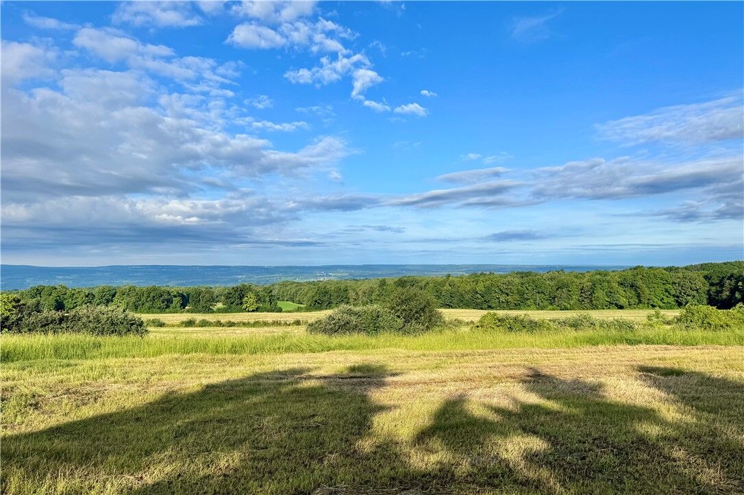 Property Photo:  Lot 1 0 County Road 4  NY 14841 