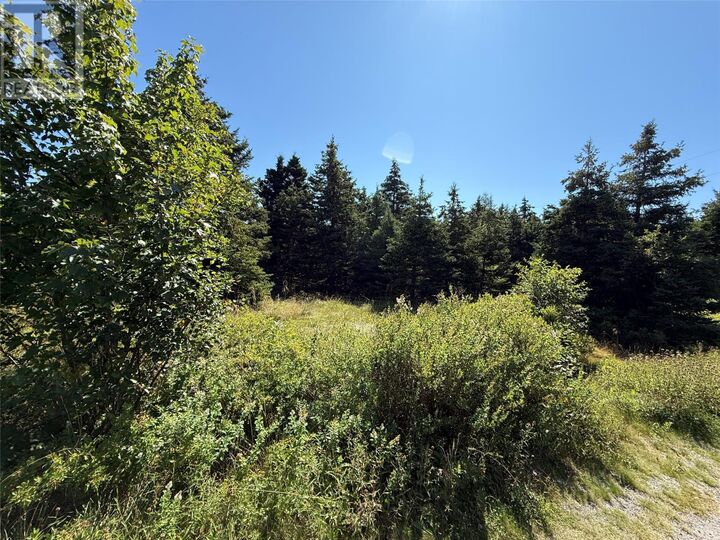 Property Photo:  35-43 Ridge Road  NL A0A 1K0 