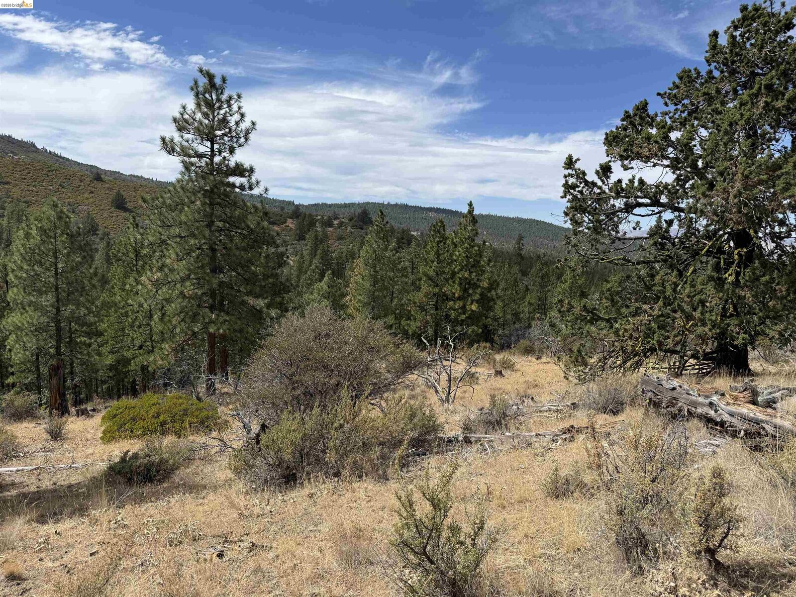 Property Photo:  00000 North Twin  CA 96009 