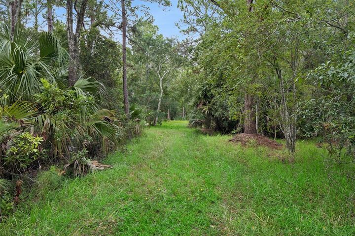 Property Photo:  14133 Lund Drive  FL 32826 