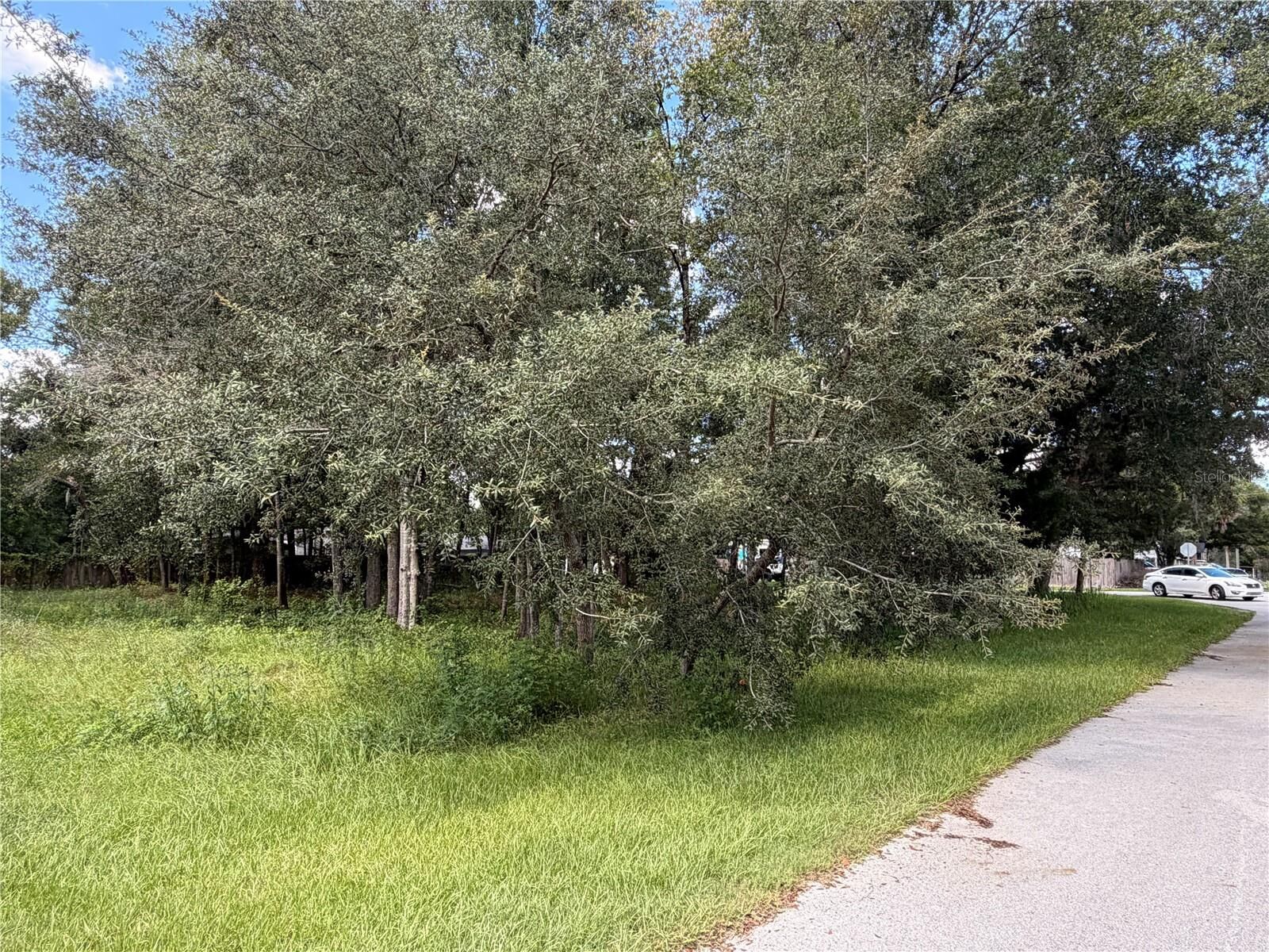 Property Photo:  7457 W Turkeyneck Court  FL 34448 