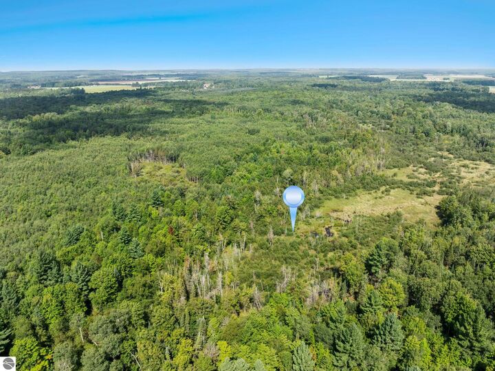 Property Photo: 4517 SE Pierson Creek Road MI 49646