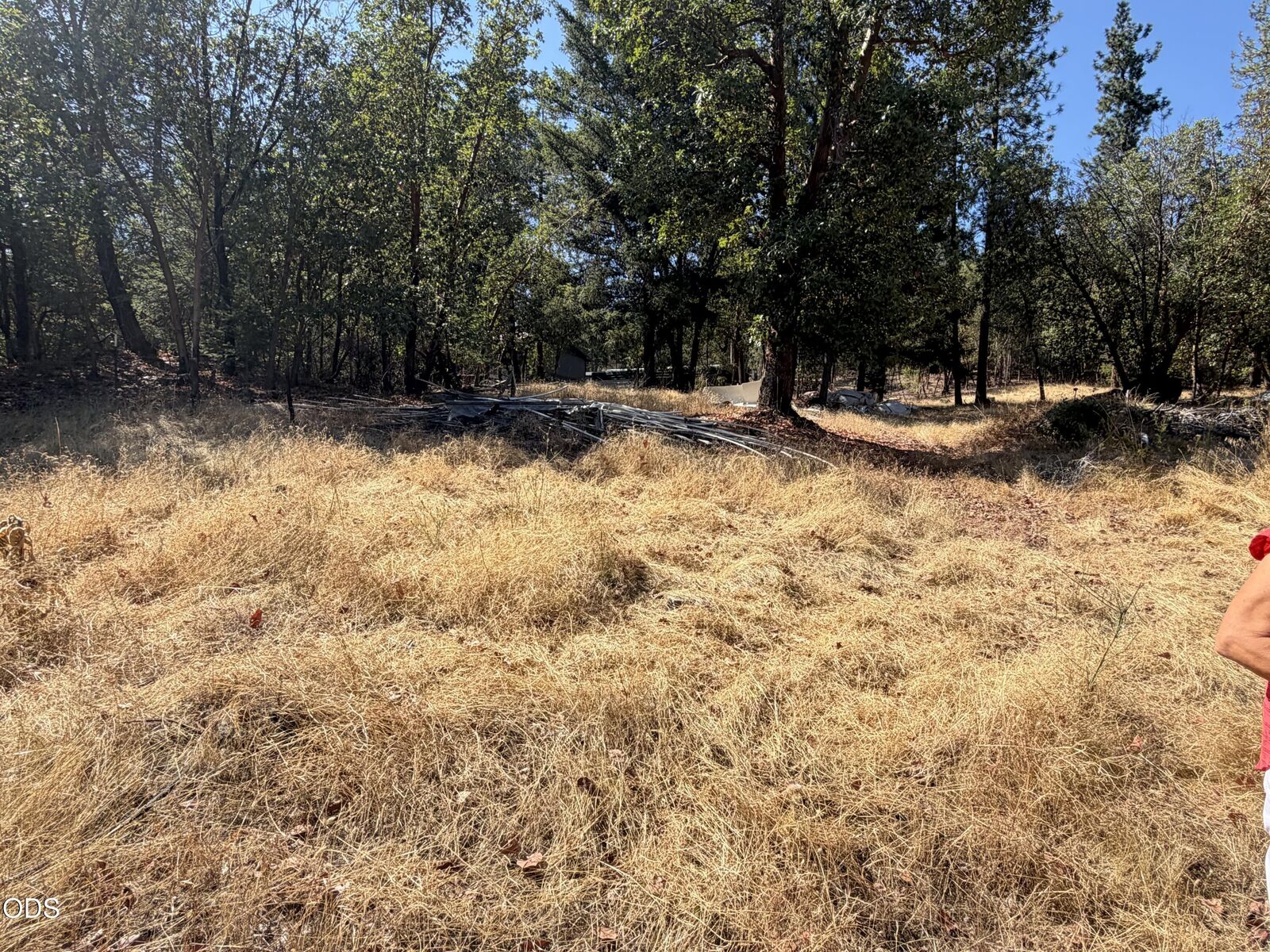 Property Photo:  409 Crossway Drive  OR 97525 
