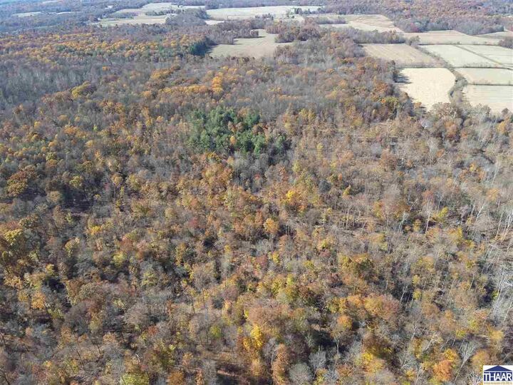 Property Photo:  Co Rd 825 E  IN 47833 