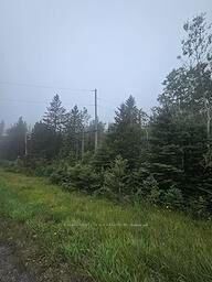 Property Photo:  5937 Highway 11/17  ON P0T 1W0 