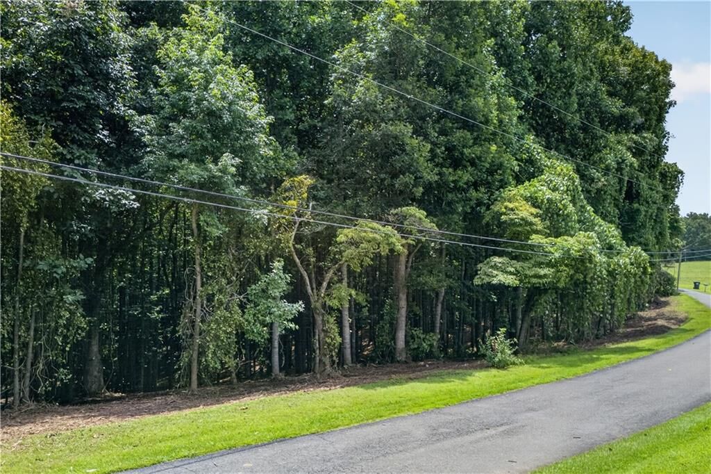 Property Photo:  0 Henry Turner Trail  GA 30107 