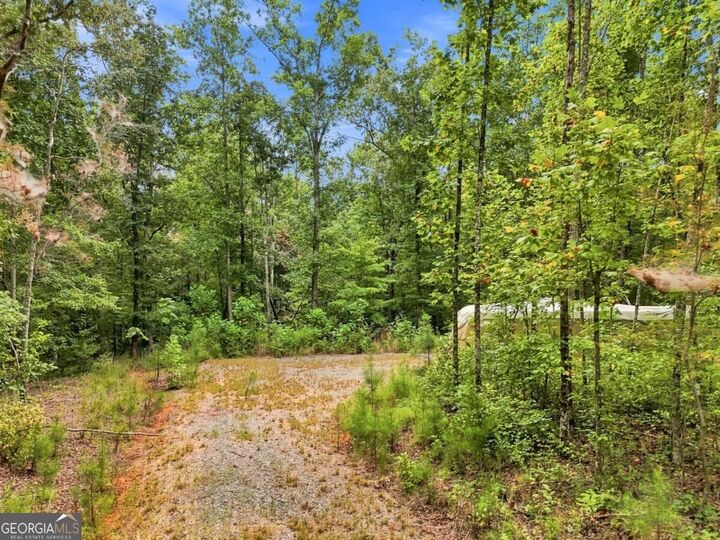 Property Photo:  2040 Pleasant Union Road  GA 30114 