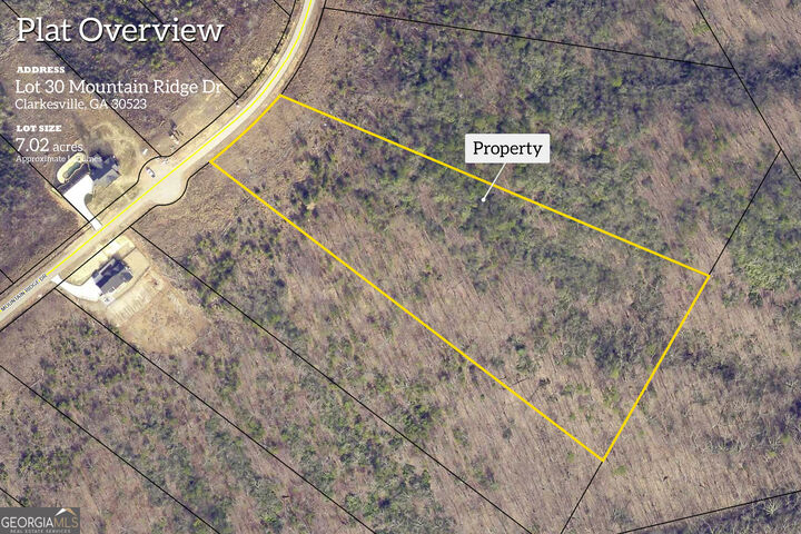 Property Photo:  Lot 30 Mountain Ridge Drive  GA 30523 