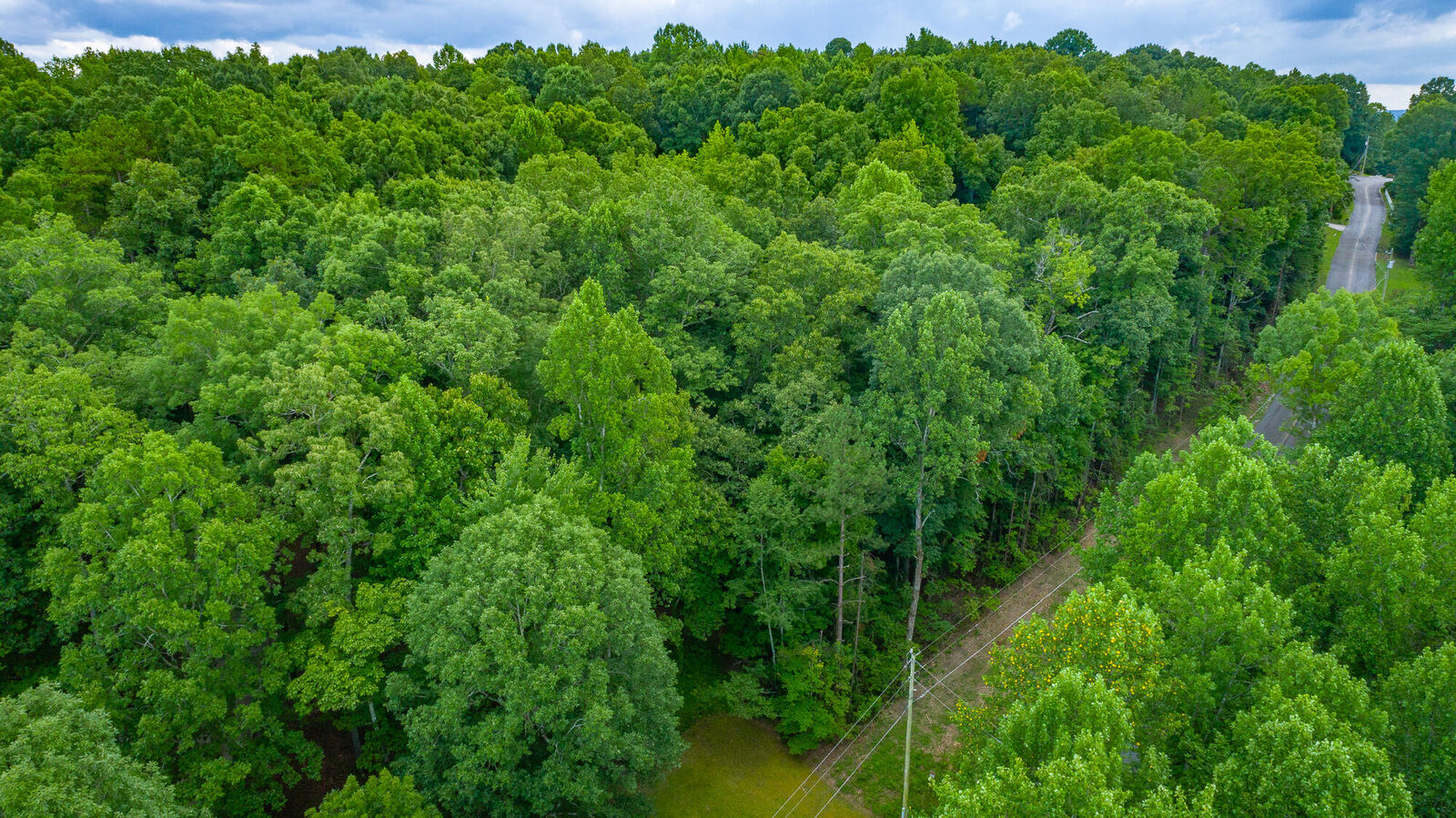 Property Photo:  1005 Tanya Drive  TN 37397 