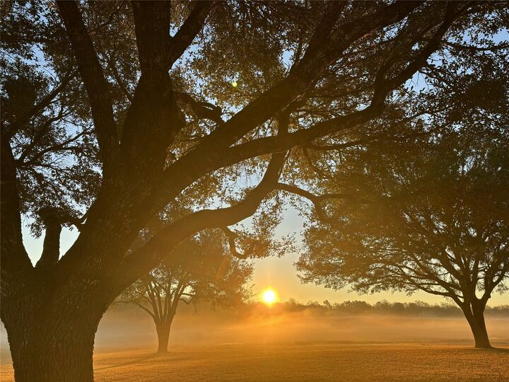 Property Photo:  4203 Old Mill Creek Road  TX 77833 