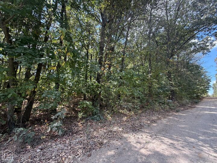 Property Photo: 2 County Road 320 AR 72416