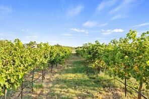 Property Photo: 3399 S Peterson Road TX 76367