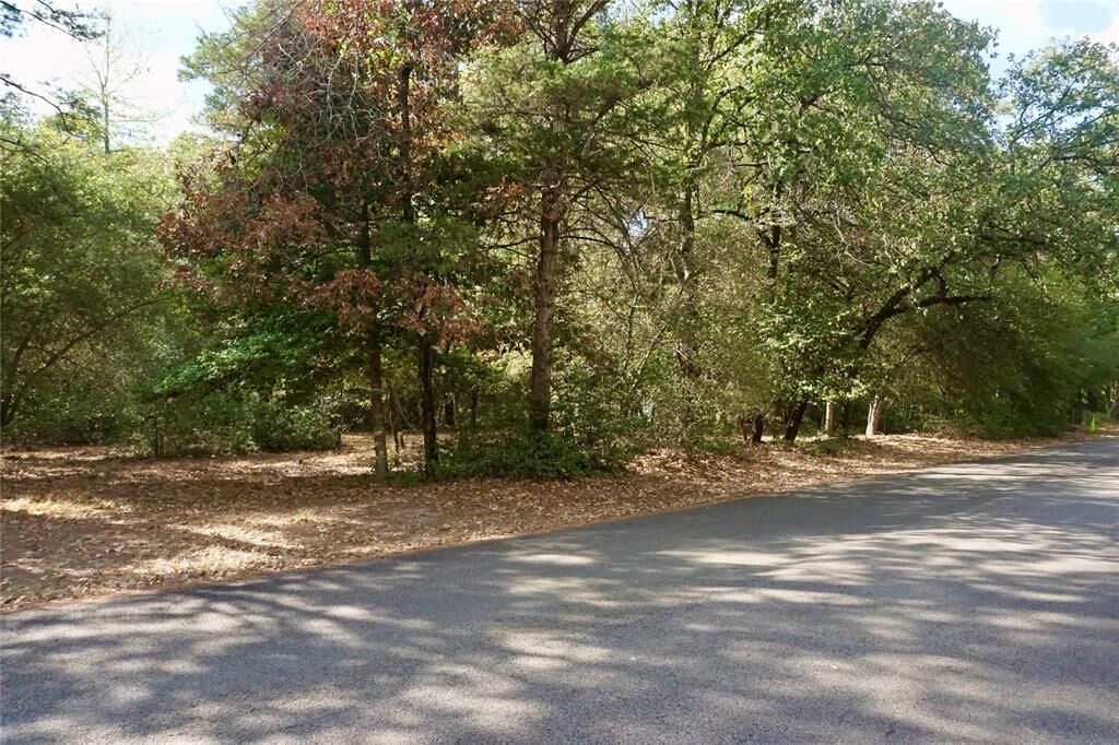 Property Photo:  Tbd Lot 146 (Evening Shadows Trail) Trail  TX 75765 