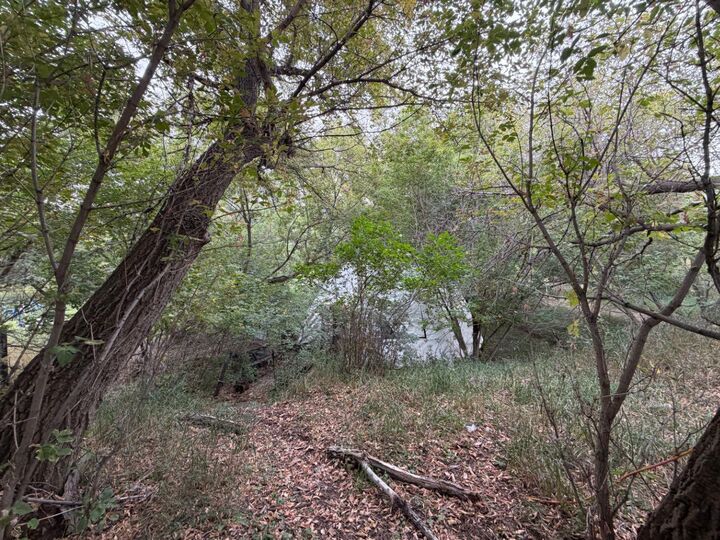 Property Photo:  916 Newcastle Trail  AB T0J 0Y0 