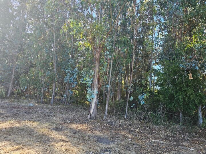 Property Photo:  0 Bonita  CA 94019 