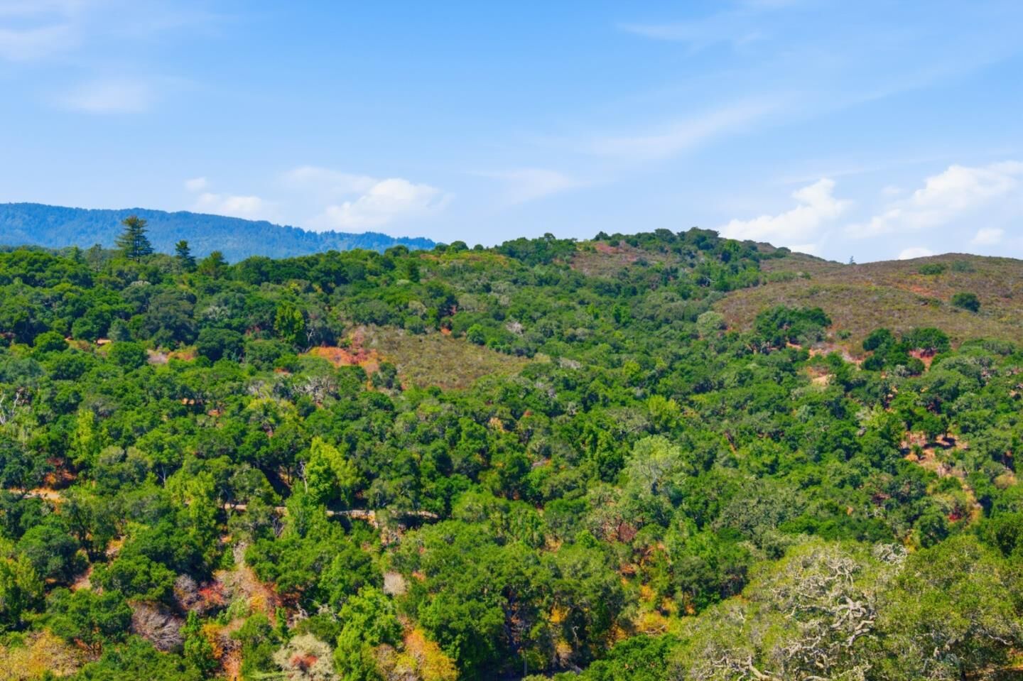 Property Photo:  3368 La Mesa Drive 12  CA 94070 