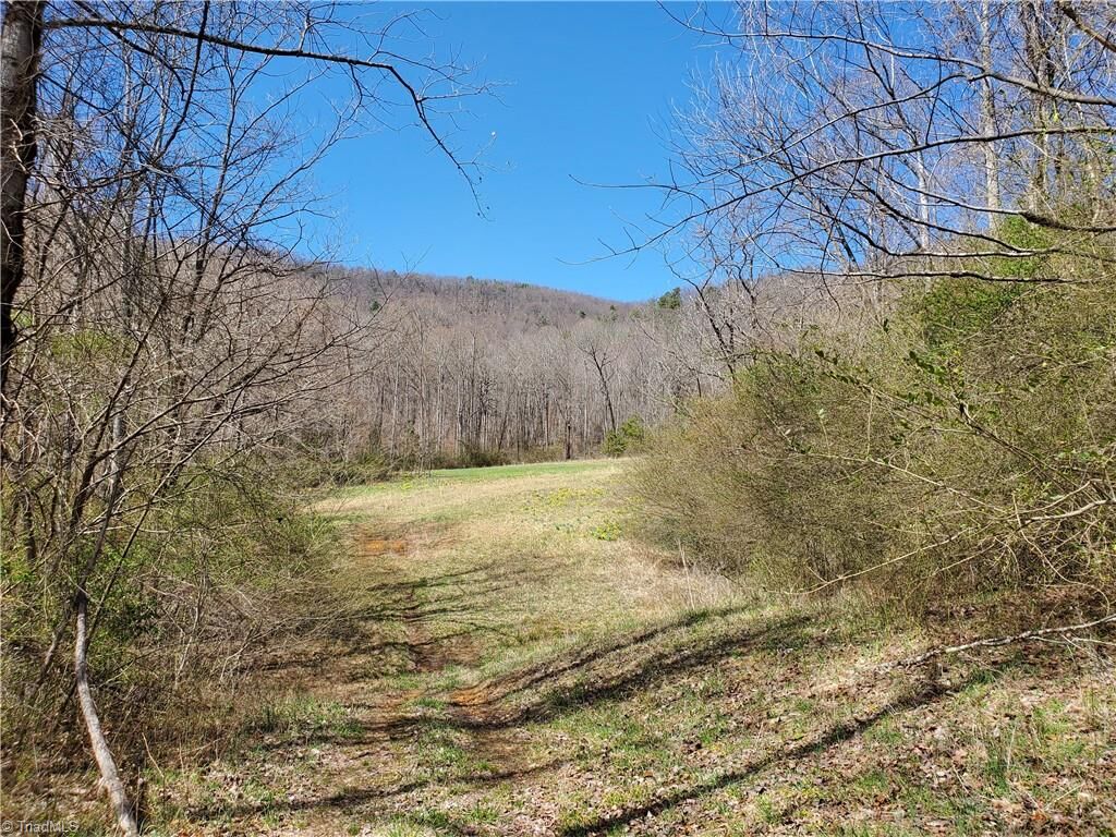 Property Photo: 8057 Nc Highway 16 NC 28654