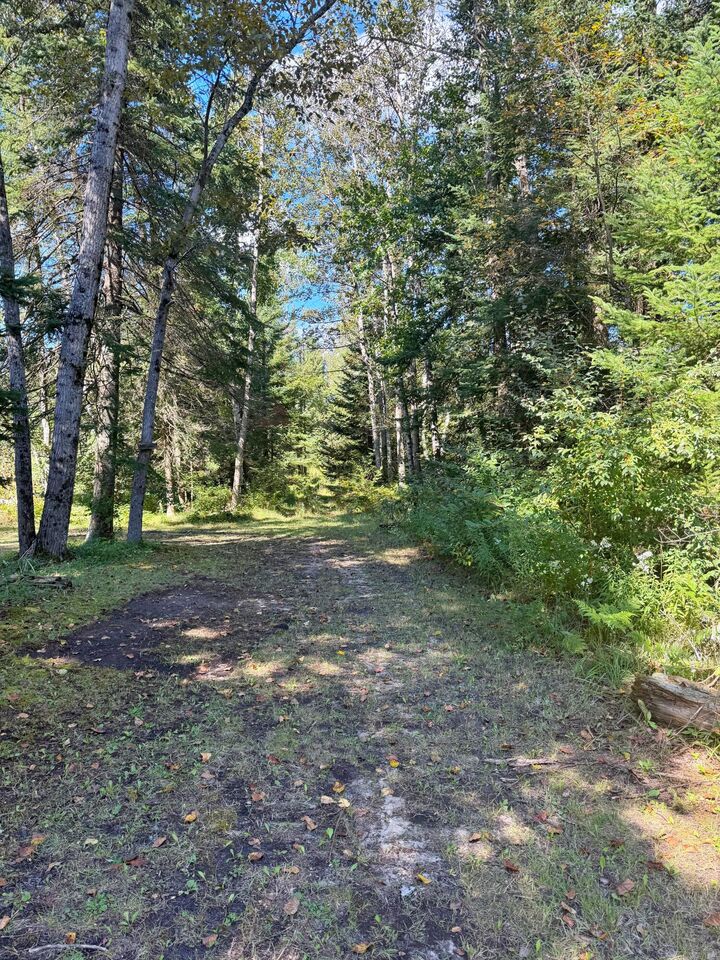 Property Photo: V/L Sullivan Drive MI 48656