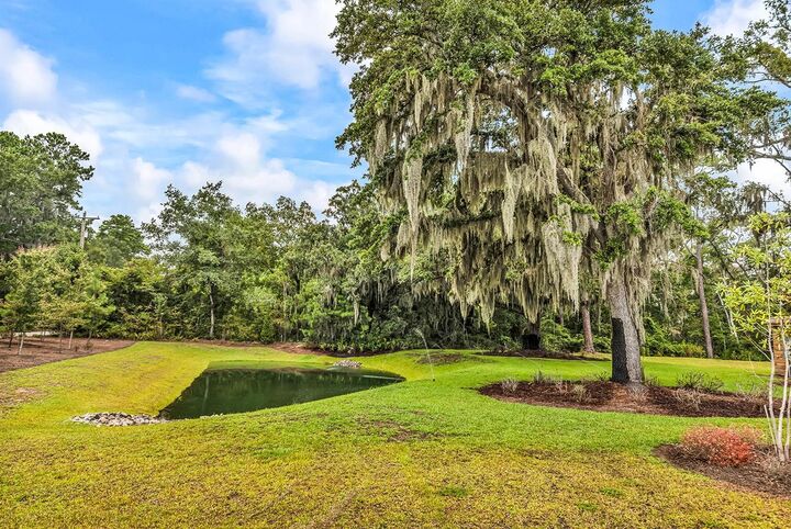 Property Photo: 616 Golden Resin Rd 616 SC 29526
