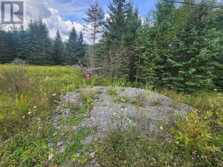 Property Photo:  Lot 236 Highway  NS B0N 1T0 