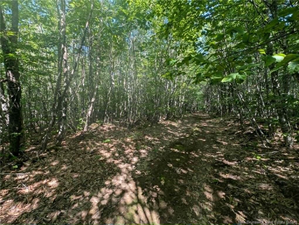 Property Photo:  Recreational Woodlot Green Road  NB E4Z 1T6 
