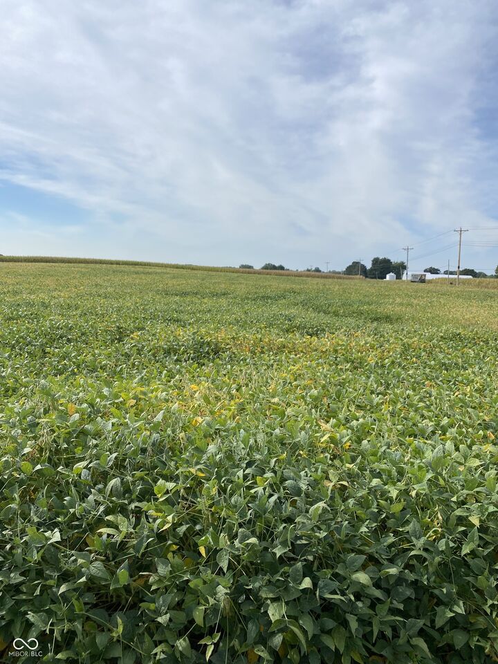 Property Photo:  2815 N US 231 Highway  IN 46135 
