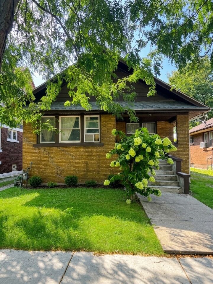 Property Photo: 253 Wilson Avenue IL 60433