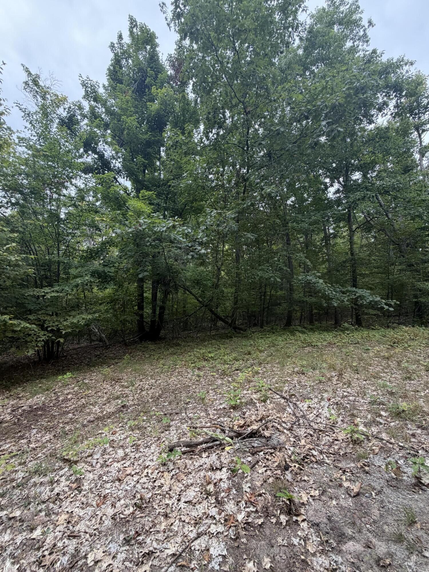 Property Photo:  V/L 10ac Oakhaven Drive  MI 49705 