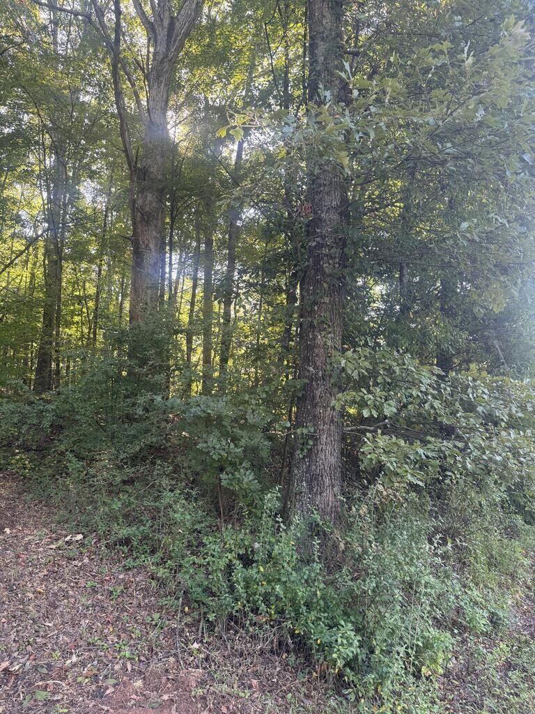 Property Photo:  Lot 5 Roberts Ridge Road  GA 30540 