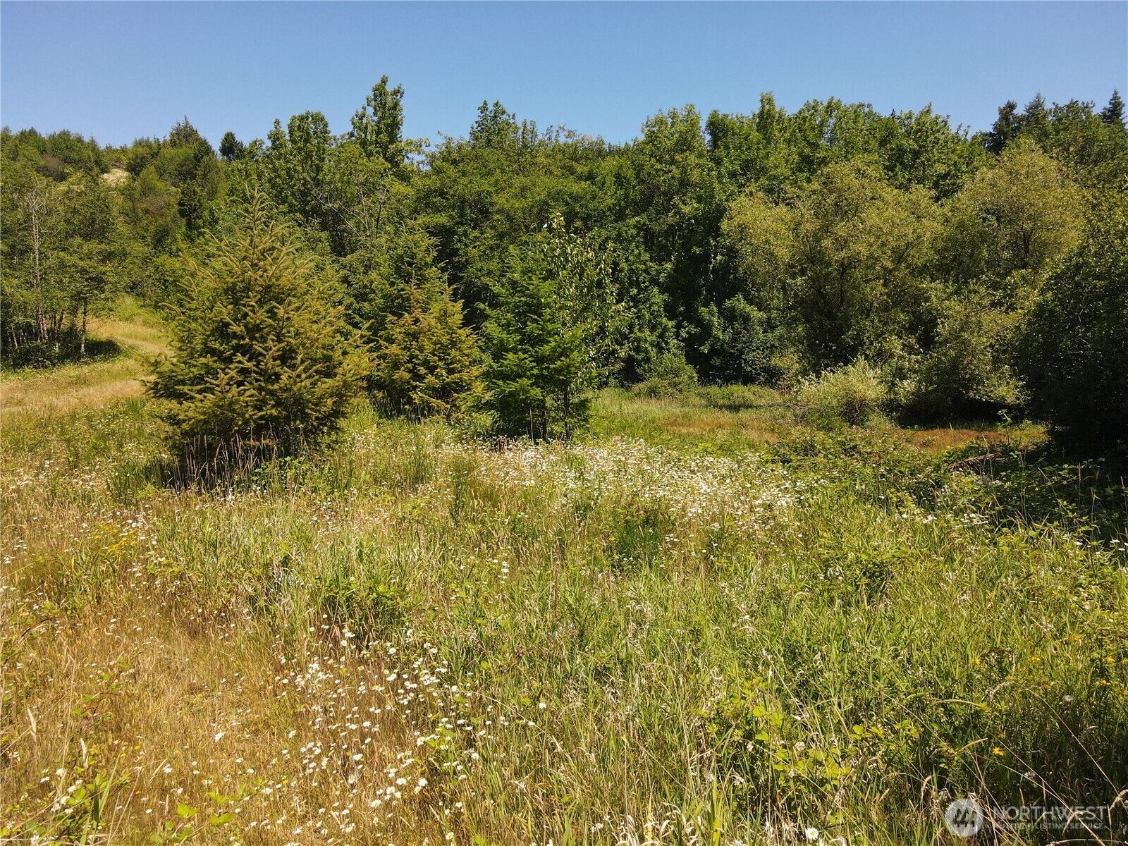Property Photo: 150 Sawall Avenue WA 98531