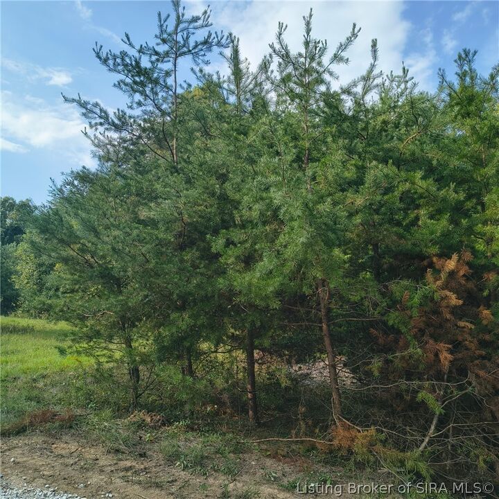 Property Photo:  Tract 4 Crooked Lane NW  IN 47112 