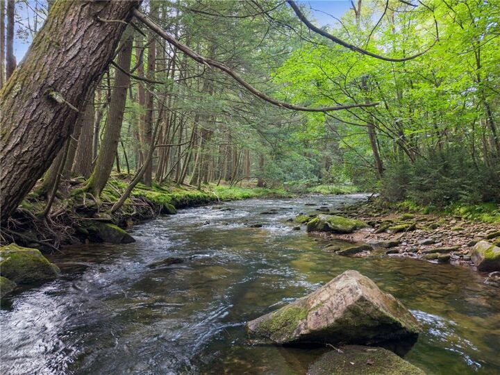 Property Photo:  663 Fork Run  PA 16830 