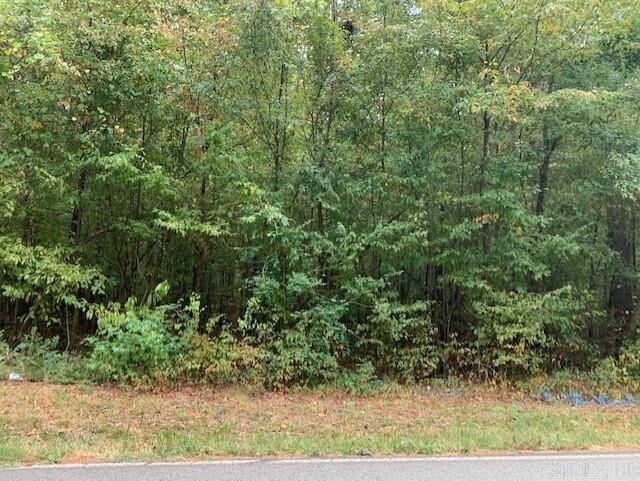 Property Photo: 000 Salem Road AR 72019
