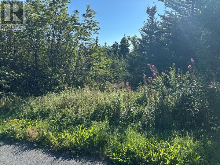 Property Photo:  8-10 Old Track Road  NL A0B 2B0 