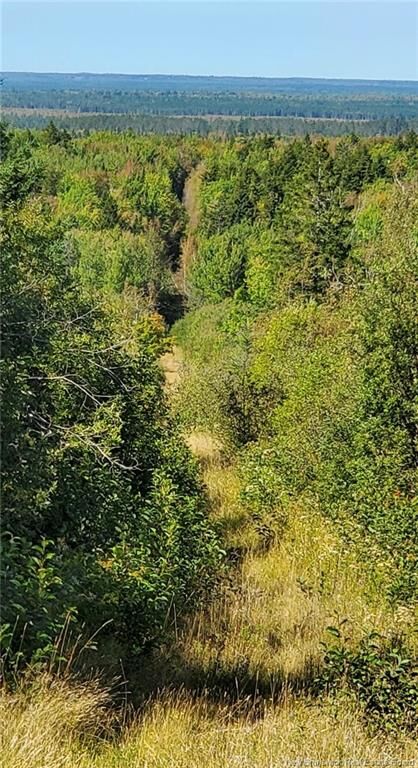 Property Photo:  Lots Indian Mountain Road  NB E1G 3C3 