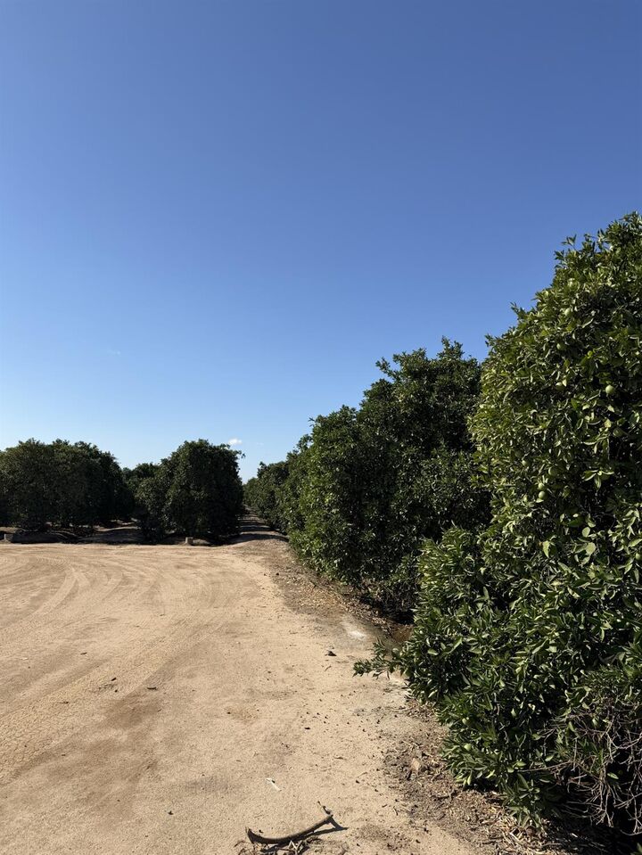 Property Photo: 13331 E Belmont Avenue CA 93657