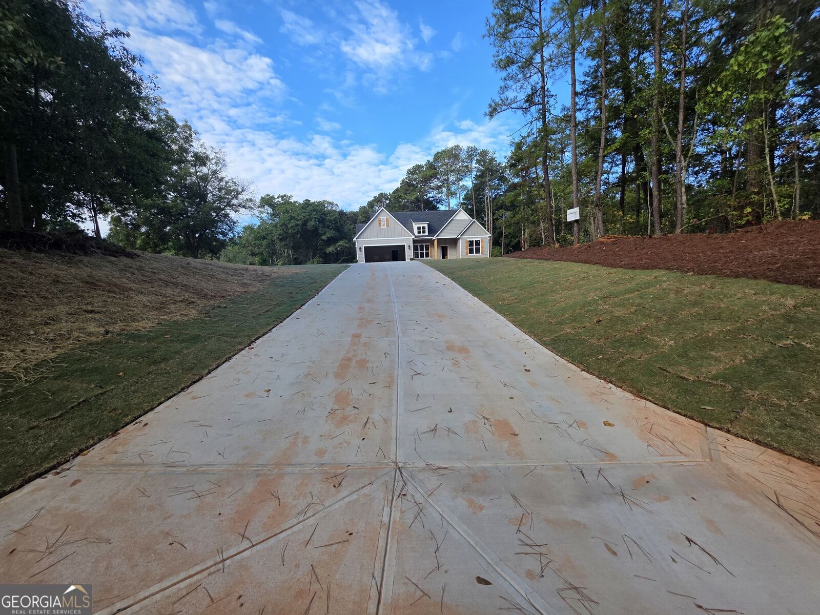 Property Photo:  460 Bob Thomas Road  GA 30233 