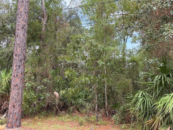 Property Photo:  5710 S Leopard Point  FL 34446 