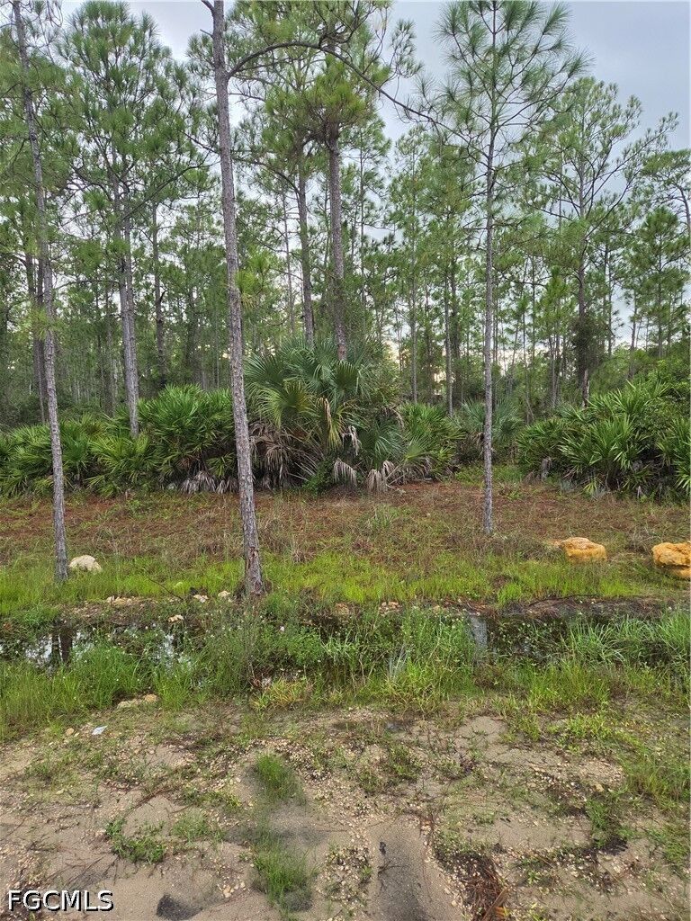 Property Photo: 2311 Truman Avenue FL 33920
