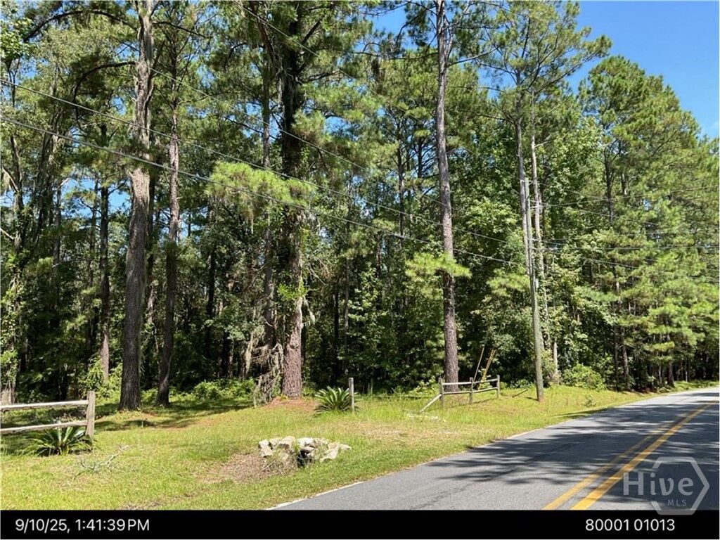 Property Photo:  Lot 1 Conaway Road  GA 31302 