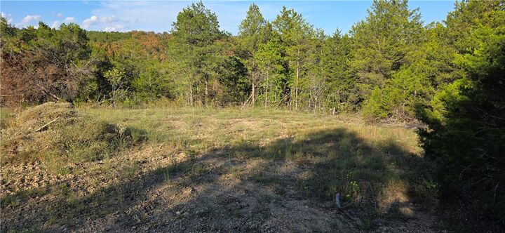 Property Photo:  19001 Old Lowery Road  AR 72662 