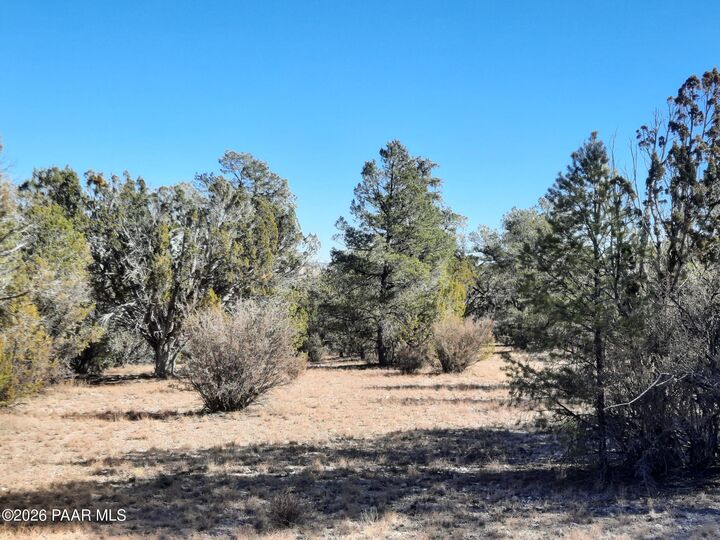 Property Photo:  074 Off Denny 5 Road  AZ 86337 